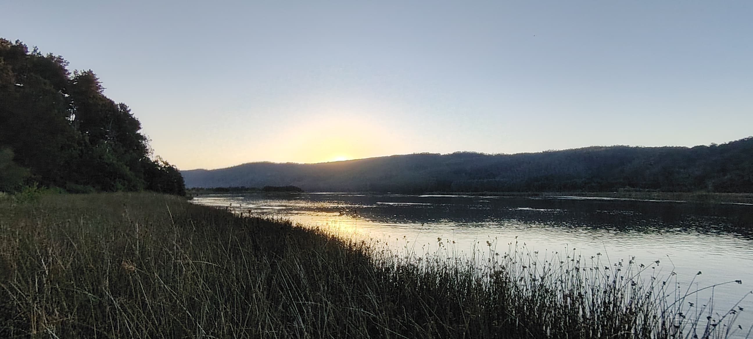 Humedales Urbanos y su impacto en el mercado inmobiliario de Valdivia